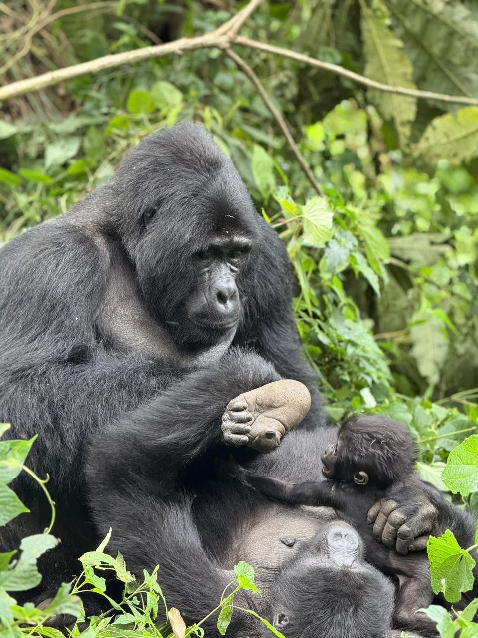 Rwanda