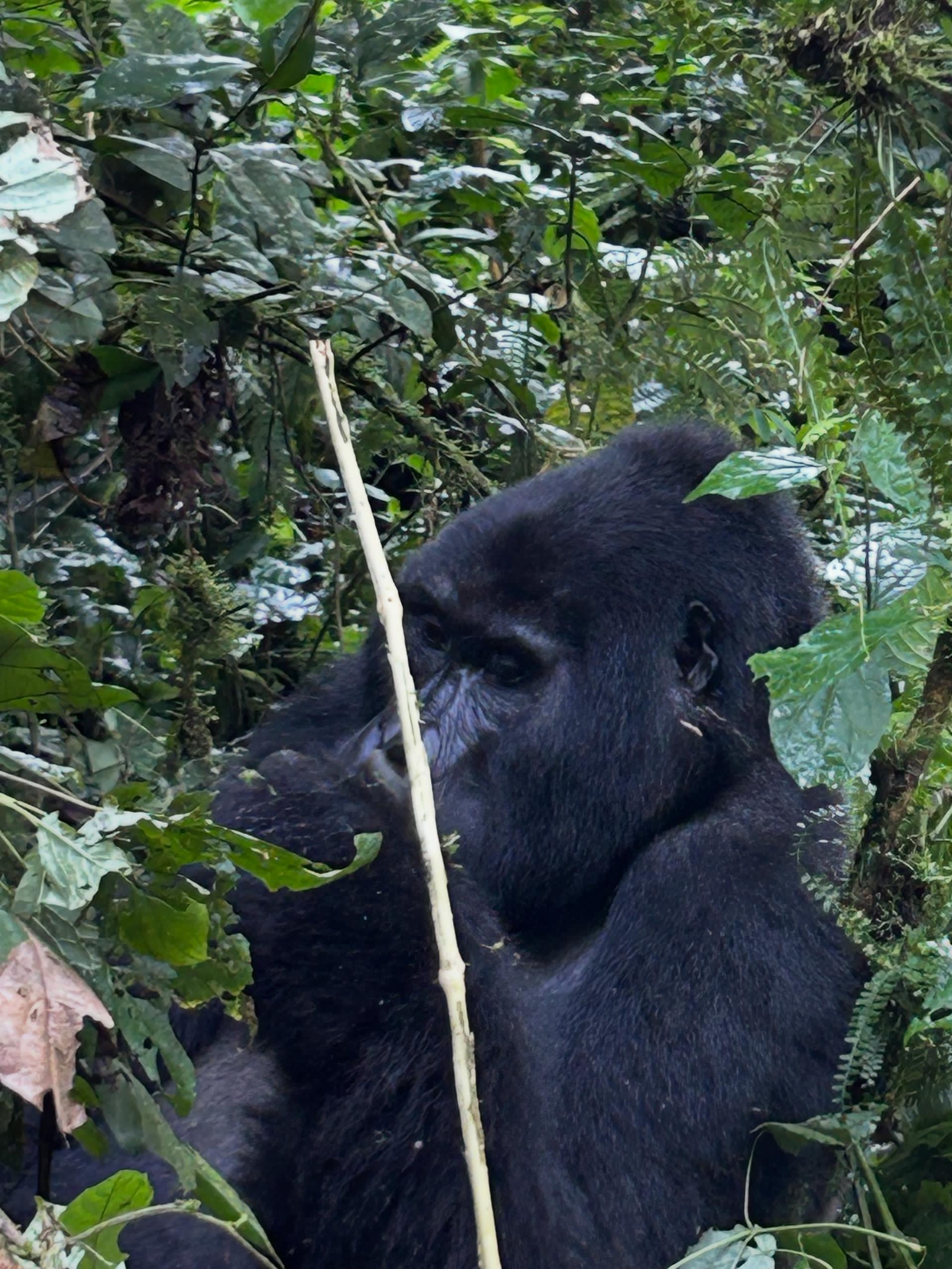 Kenya